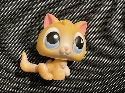 Buy Authentic Littlest Pet Shop #86 Cat Baby Kitten Kitty / Original Hasbro LPS • 11.99£
