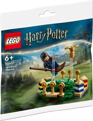 LEGO Harry Potter & Hedwig Owl Delivery Polybag (30420) Brand New Factory  Sealed