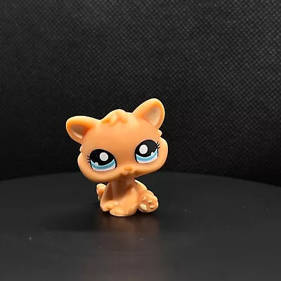 Buy Littlest Pet Shop Cat Kitten Cat #1053 Kitty Original Hasbro LPS • 5.49£