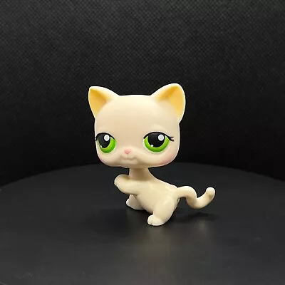 Buy Littlest Petshop 98 Carthusian Kitty Cat Carthusian  • 5.49£