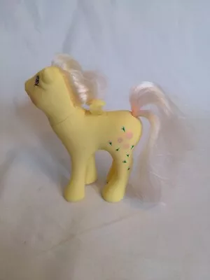 Buy My Little Pony G1 Rosedust Flutter Pony (No Wings) • 5.99£