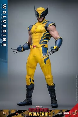 Buy Hot Toys Deadpool & Wolverine MMS Action Figure 1/6 Wolverine • 79.92£