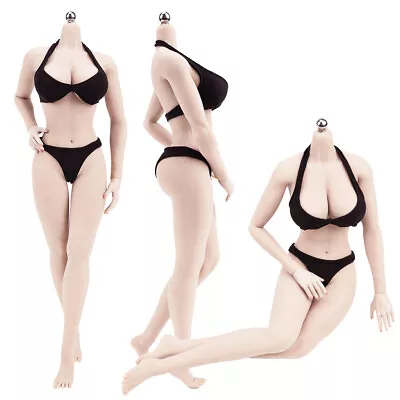Buy JIAOU DOLL 1/6 Seamless L Bust Female Body 12'' Figure For Phicen Hot Toys Pale • 42.99£
