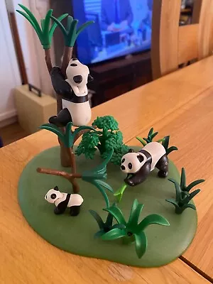 Buy Playmobil Panda Bear Set Zoo Rare • 5£