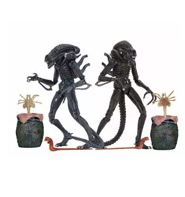 Buy Neca - Aliens 7 Inch Scale Ultimate Action Figure Brown • 43.99£