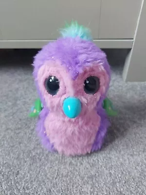 Buy Hatchimals Interactive Pink And Purple  Owl 5  Tall  • 3.50£