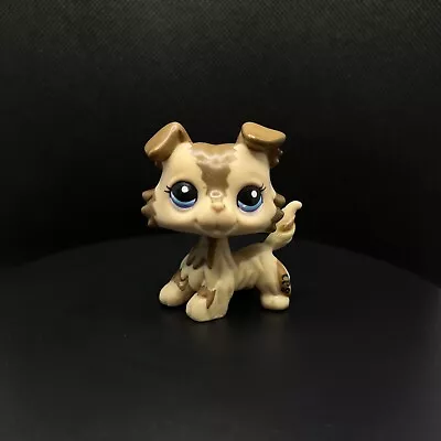 Buy Littlest Petshop LPS Dog Chien Colley Collie 2210 Hasbro • 24.99£