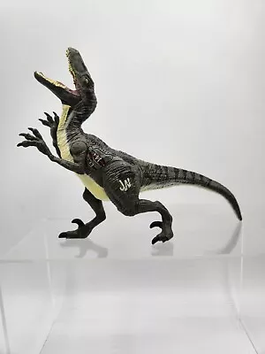 Buy Hasbro Jurassic World Raptor Light Up Roar Screeching Toy Dinosaur 2015 • 9.99£