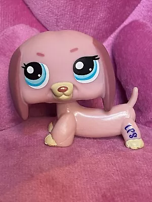 Buy Littlest Pet Shop LPS DACHSHUND #1306 Pink Puppy Dog Blue Eyes Hasbro • 19.99£