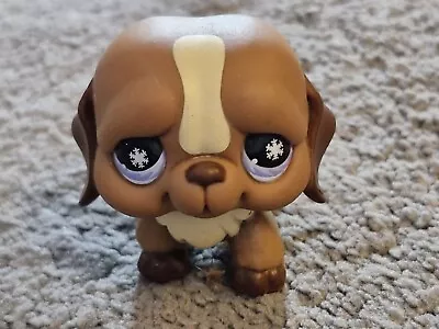 Buy LITTLEST PET SHOP DOG  2006 C-031 Hasbro  RARE Toy  Petshop  Magnet Puppy  VG+ • 5.99£