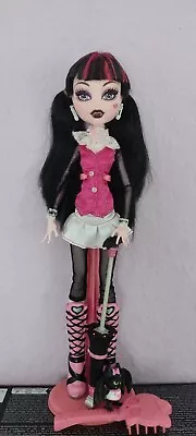 Buy Monster High Doll Dolls Draculaura Basic  • 136.57£
