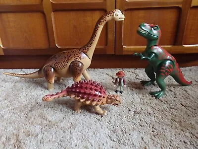 Buy 3 Playmobil Large Dinosaur Figures T-rex, Brachiosaurus (?), Ankylosaurus & Man • 25£