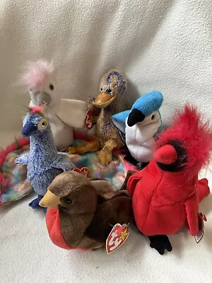 Buy Ty Beanie Baby: Set Of Birds X6 - With Tags • 5.99£