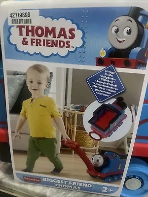 Buy Thomas & Friends Biggest Friend Pull-Along Thomas The Tank Engine Kids Toy Train • 18£
