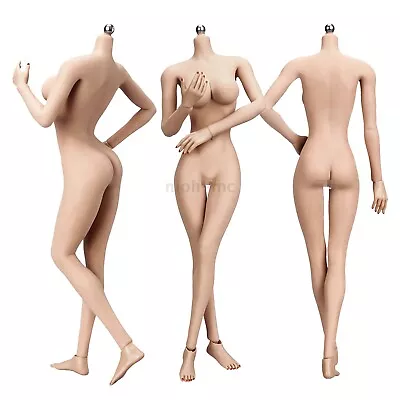 Buy JIAOU DOLL 1/6 Seamless Female Big Bust Figure Body For TBLeague Hot Toys Head • 41.94£