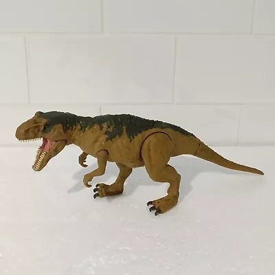 Buy Jurassic World Metriacanthosaurus Roarivores Mattel Dinosaur  • 9.49£