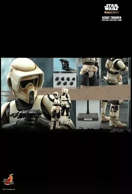 Buy Hot Toys Biker Scout Trooper TMS016 Star Wars1/6 Scale New Sealed Shipper • 279£
