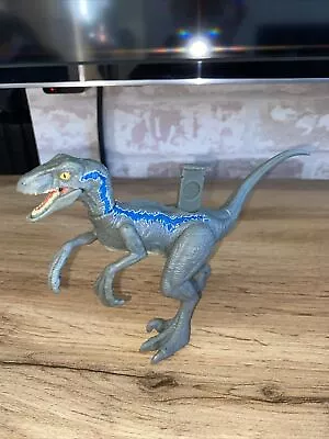 Buy Jurassic World Fallen Kingdom Blue Velociraptor Dinosaur Figure Attack Pack 2021 • 8.99£