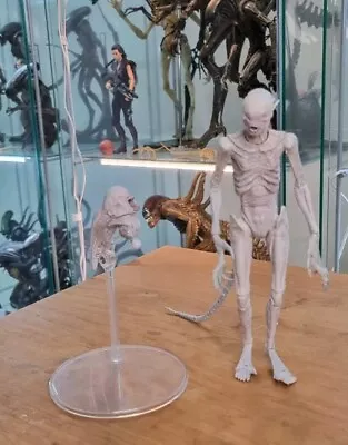 Buy Neca Alien Covenant - Neomorph Creature • 20£