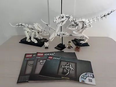 Buy Lego Ideas Dinosaur Fossils Skeleton (21320) - NEARLY COMPLETE (S5) • 49.99£