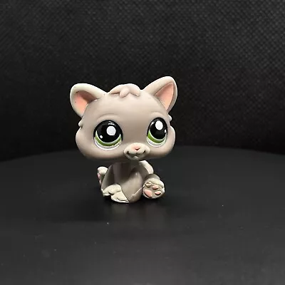 Buy Littlest Pet Shop Grey Kitten Green Eyes  #1607 Hasbro LPS • 9.99£