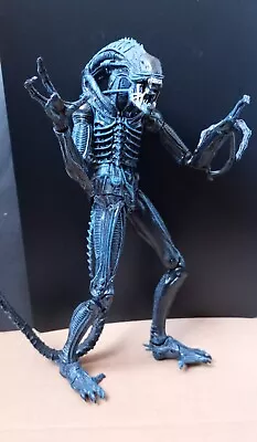 Buy NECA Aliens Action Figure - Xenomorph Warrior • 28£