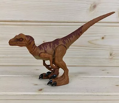 Buy Jurassic World Brown Velociraptor Attack Raptor Dinosaur 8  Action Figure FLN68 • 14.99£