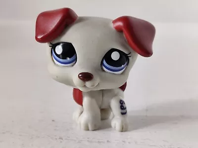 Buy LPS Littlest Pet Shop Used Jack Russell Puppy #1743 Hasbro 2007 Free Shipping • 9.81£