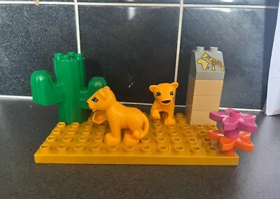 Buy Lego Duplo Zoo Animal: Lion Cub  Set • 8.99£