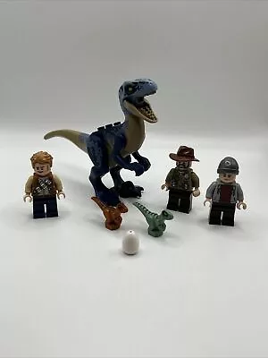 Buy Lego Jurassic World Dinosaurs And Figures Bundle Rare • 12.99£