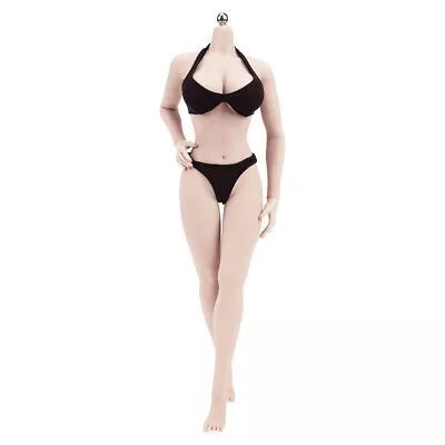 Buy 1/6 Seamless Female Figure Body Large Bust 12  For Hot Toys TBLeague Phicen Pale • 42.99£