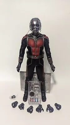 Buy Hot Toys Antman MARVEL MCU The Avengers 1/6 Scale Figure Paul Judd Hottoys • 149.99£