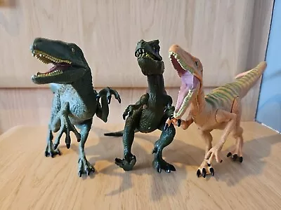 Buy Jurassic World Hasbro 2 X Velociraptor Raptor & T-Rex 3 Dinosaur Figures [L8] • 19.99£