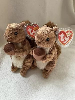 Buy Ty Beanie Baby: Nutty The Squirrel X2 - Mint Condition (2 Different Tags) • 9.99£