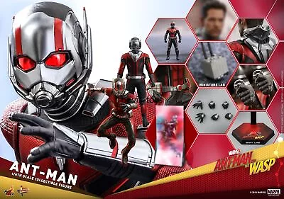 Buy New Hot Toys MMS497 Ant-Man, The Wasp Ant-Man 1/6 Scale Collector's Figure • 218.39£