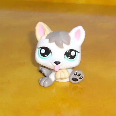 Buy Hasbro LPS Littlest Pet Shop Figure Dog Puppy 1876 Petriplets • 4.99£