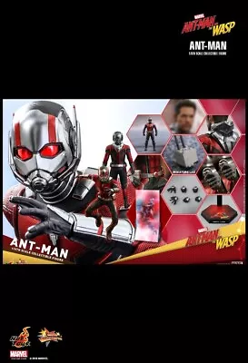 Buy Hot Toys Mms497 Ant-man And The Wasp Ant-man 1/6th Scale Collectible Figure • 189.68£