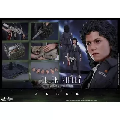 Buy Hot Toys Ellen Ripley MMS366 • 451.03£