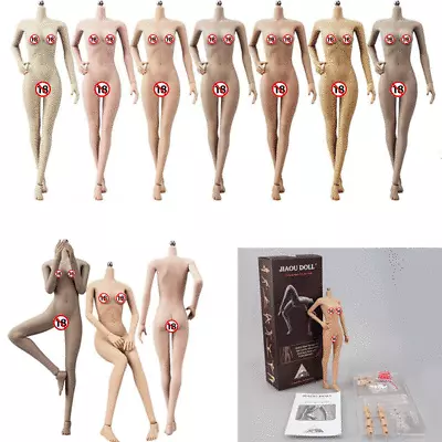 Buy JIAOU DOLL 1/6 Female Seamless Medium Bust Breast Body For 12  Hot Toys PHICEN • 12.55£