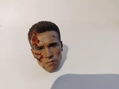 Buy Hot Toys Terminator Dx13 Head Sculpt  1/6 Figure No Dx19 Mms238 • 85£