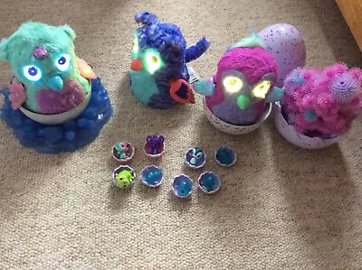 Buy Hatchimals Bundle • 30£