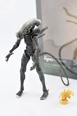 Buy Figma SP-108  Alien Xenomorph & Face Hugger Creature Takashi Ver.  Action Figure • 25£