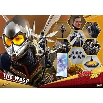 Buy Hot Toys MMS498 Antman Wasp 1/6 Figure • 652.63£