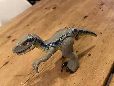 Buy Imaginext Fisher Price Jurassic World Velociraptor Dinosaur Figure Blue Raptor • 4.99£