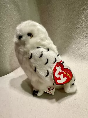 Buy Ty Beanie Baby: KnOWLedge The Owl (Borders Special) - Mint Condition With Tag • 39.99£