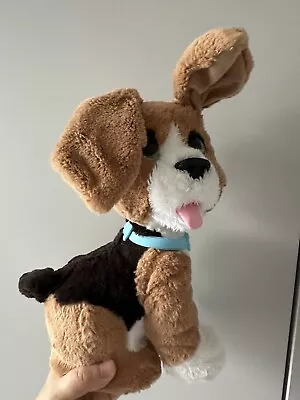 Buy FurReal Friends CHATTY CHARLIE THE BARKIN' BEAGLE Interactive Plush Dog • 5£