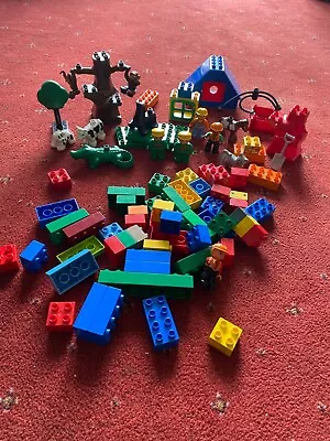 Buy Lego Duplo Zoo & Builder Pieces Used In Good Cond  • 4.99£