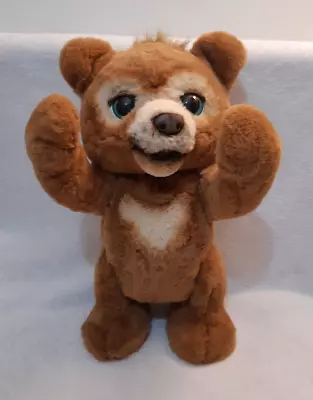 Buy Hasbro Fur Real Friends Cubby The Curious Bear, Interactive Plush Toy • 24.99£