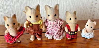 Buy Sylvanian Families | Catwood Family | Vintage • 15£
