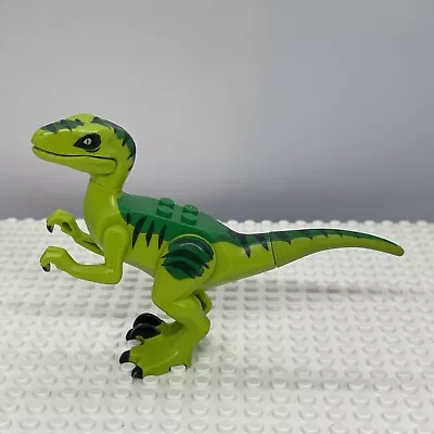 Buy Lego Jurassic World Velociraptor Dinosaur Minifigure Raptor08 From 10757 • 9.99£